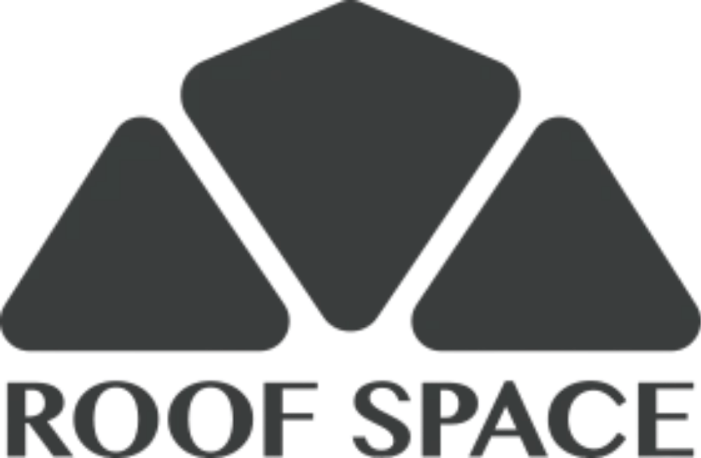 Roof Space Adventure